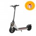 Электросамокат WS-TAIGA 800 W SILVER WINTER